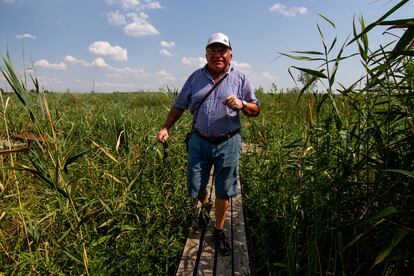 Oleksii Billeris, agricultor de 68 años, solía pasar temporadas con su familia en la casa de Malokaterynivka, un pueblo en la ribera del embalse. Al igual que sus vecinos, se había construido un muelle y un embarcadero desde donde todos pescaban y se bañaban en verano. Ahora, para llegar hasta allí, hay que atravesar una verdadera jungla. Malokaterynivka (Ucrania), 29 de julio de 2024.