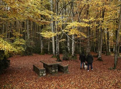 Dos personas se adentran en un bosque de hayas en la zona conocida como Mata de Haya, cercano a la localidad de Isaba, que presenta un aspecto tipicamente otoñal con las hojas caidas en la tierra que queda completamente cubierta.