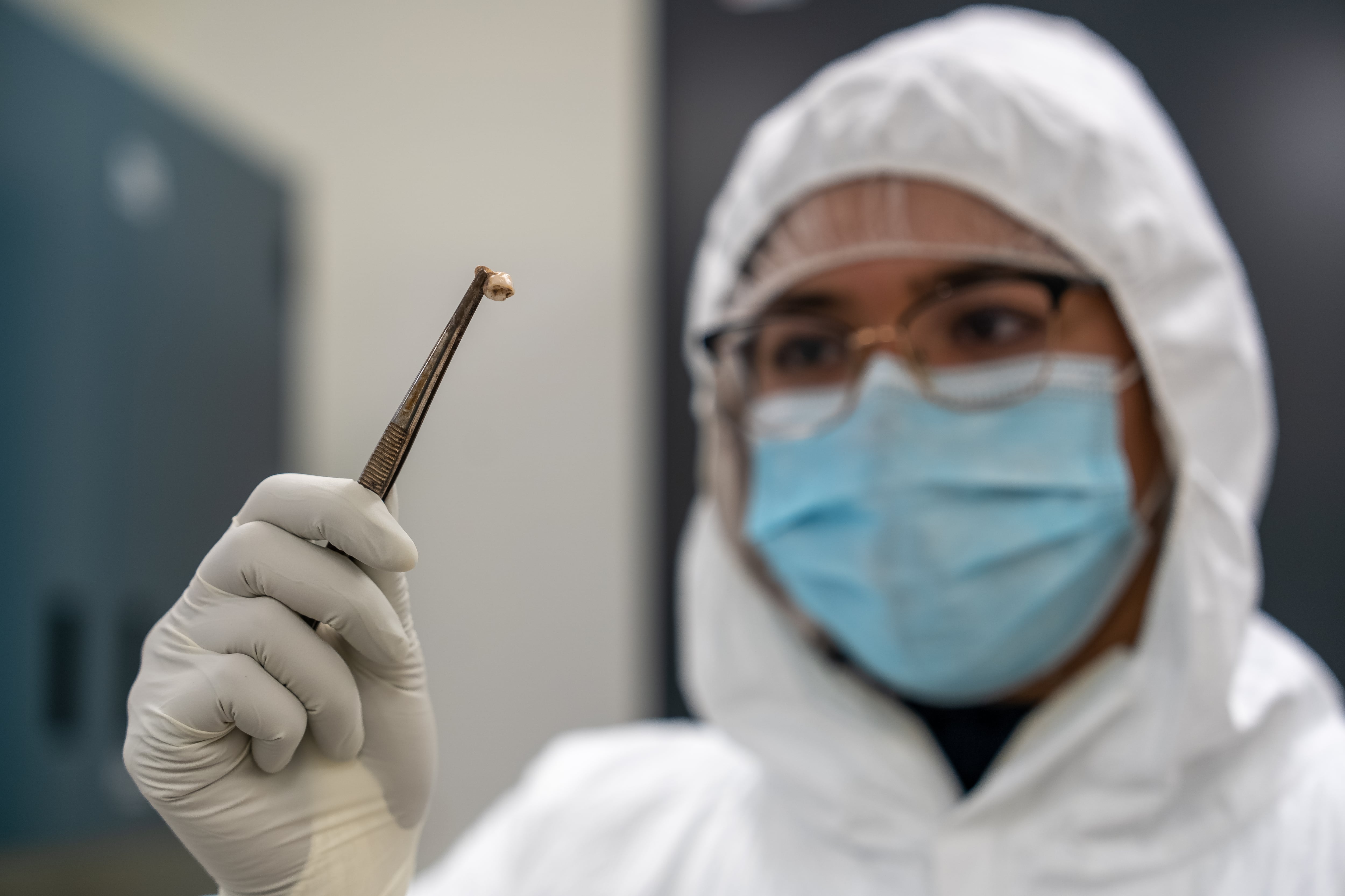 "La Evolución Mortal: ¿La Bacteria Más Letal del Mundo se Adapta para Seguir Asesinando?"