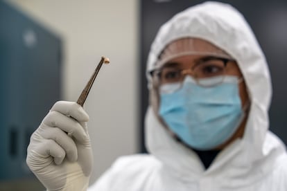 Genetista Ravneet Sidhu examina un diente del cadáver de una persona fallecida por la peste, en la Universidad McMaster, en Ontario (Canadá)