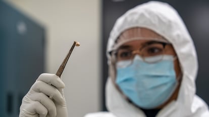La genetista Ravneet Sidhu examina un diente del cadáver de una persona fallecida por la peste, en la Universidad McMaster, en Ontario (Canadá).