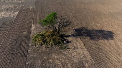 Vista aérea de una zona deforestada en Juan José Castelli, en la provincia del Chaco (Argentina), en octubre de 2022.