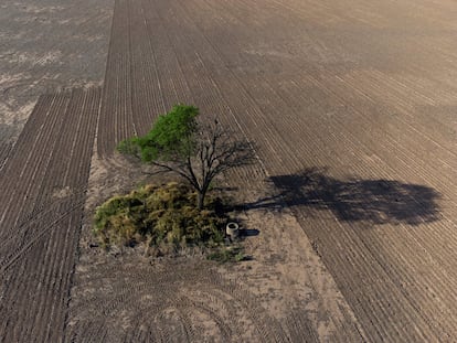 Vista aérea de una zona deforestada en Juan José Castelli, en la provincia del Chaco (Argentina), en octubre de 2022.