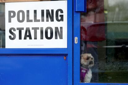 Un perro mira a través de un cristal de una lavandería, establecida como un centro electoral en Oxford, mientras vota su dueño.