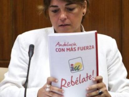 Elena Cort&eacute;s, consejera de Fomento de la Junta de Andaluc&iacute;a.