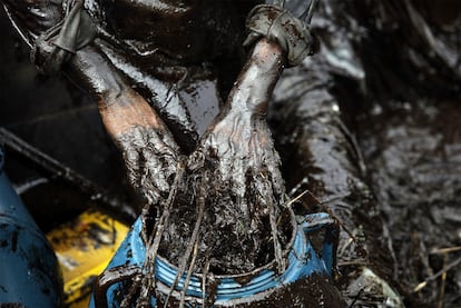 Los chinos luchan con las manos desnudas contra el vertido de 1.500 toneladas de petróleo registrado en el mar Amarillo.