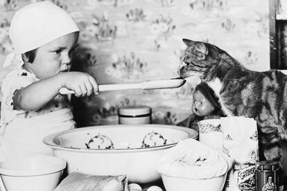 Claro que la receta la pueden crear directamente son el bebé y el gato...