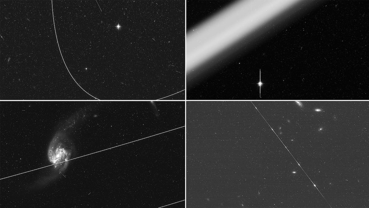 Elon Musk's satellites are ruining the view of space telescopes: 'It's getting worse' | Economy and Business | EL PAÍS English