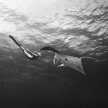 Ai Futaki, en las agusd de Ishigaki, al sur del Japón, con una manta raya