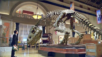 Id a los museos con niños, que no muerden... a menos que los dinosaurios cobren vida.