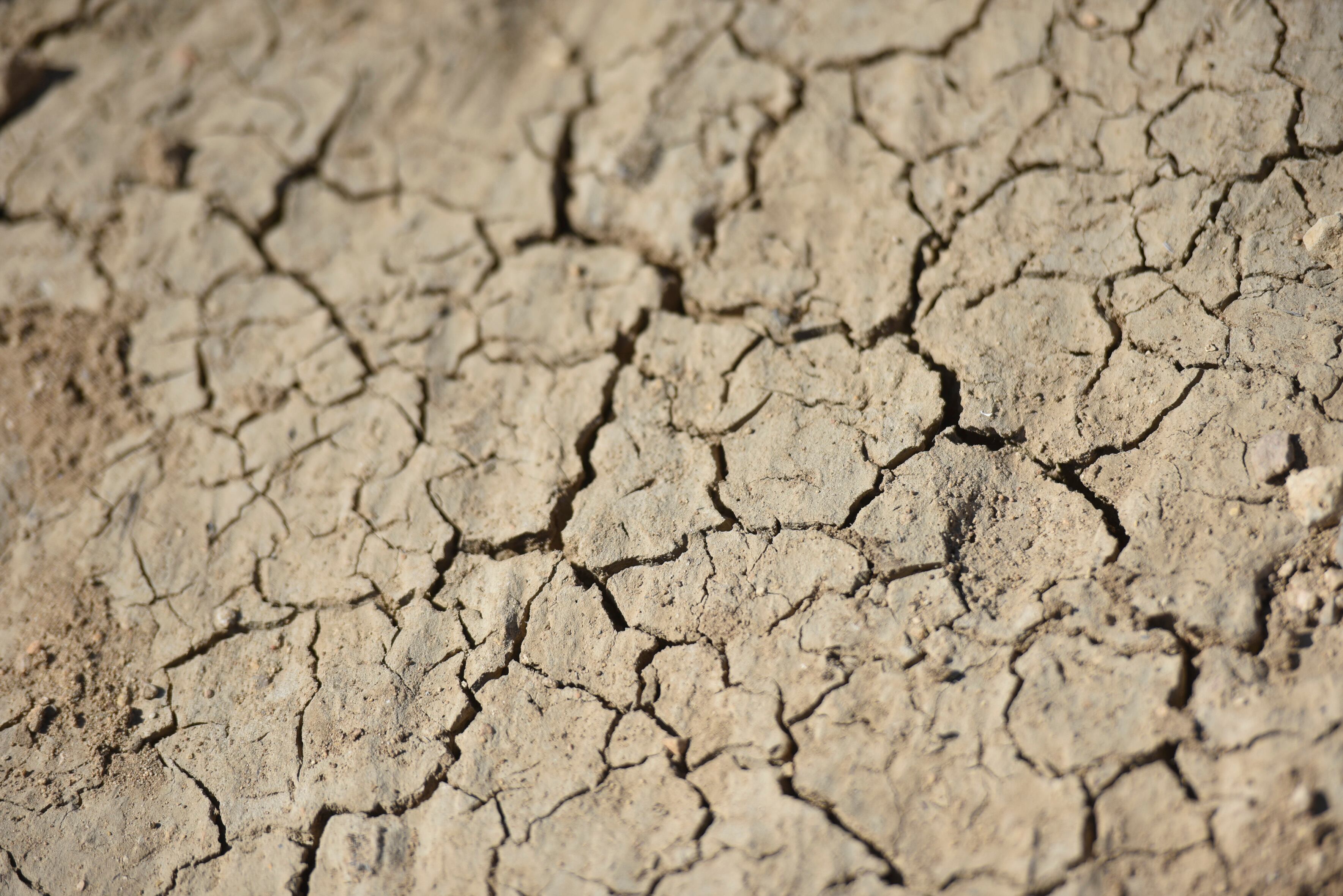 Suelo agrietado en el embalse de Canelles.