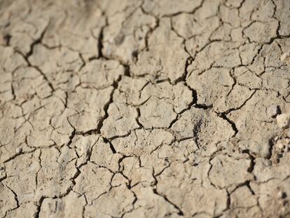 Sequía en el embalse de Canelles .