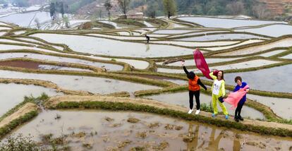 Declaradas patrimonio mundial, este conjunto de terrazas se extiende a lo largo de 11.000 hectáreas al sur de Yunnan, cerca de la frontera con Vietnam. Han sido talladas con esmero por la etnia hani desde hace cientos de años y están dedicadas al monocultivo de arroz. Yuanyang está a siete horas al sur de Kunming, la capital de Yunnan.