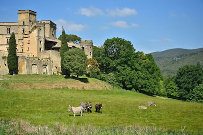 Vista del castillo renacentista de Lourmarin (Francia).