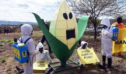 Varios activistas de Greenpeace África y pequeños agricultores del condado de Makueni protestan para lograr la prohibición de los ingredientes activos dañinos que se encuentran en los pesticidas vendidos en el mercado agrícola de Kenia en octubre de 2019.