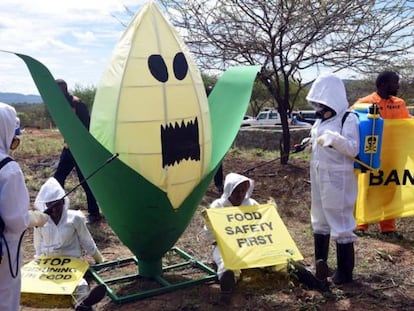 Varios activistas de Greenpeace África y pequeños agricultores del condado de Makueni protestan para lograr la prohibición de los ingredientes activos dañinos que se encuentran en los pesticidas vendidos en el mercado agrícola de Kenia en octubre de 2019.