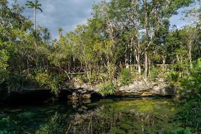 cenote de Nicte Ha Tren Maya