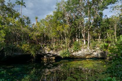cenote de Nicte Ha Tren Maya