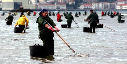 Mariscadoras en Pontevedra. 