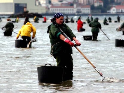 Mariscadoras en Pontevedra. 