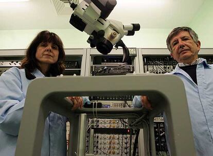 Agnés Gruart (izquierda) y José María Delgado, en su laboratorio de la Universidad Pablo de Olavide.