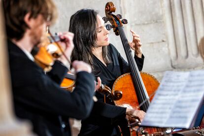 Todos los instrumentos del Cuarteto Palatino tienen una decoración en su tapa armónica hecha con marfil.