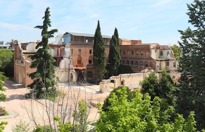 Convento de las Damas Apostólicas. Uno de los cipreses talados estaba en el patio expuesto tras los derribos.