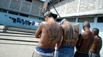 Miembros de MS-13.