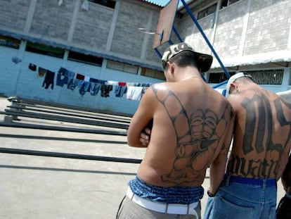 Miembros de MS-13.