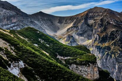 Pinares en las faldas del monte Focalone, en el parque nacional Majella, en la región italiana de los Abruzos. 