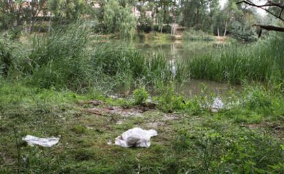 Zona del Ebro a su paso por Logroño donde un niña de diez meses fue ahogada anoche por su padrastro