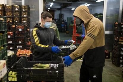 La actividad comercial de Mercasevilla está siendo vital en la garantía de suministro de alimentos, en las zonas a las que abastece, durante esta crisis sanitaria por la covid-19.