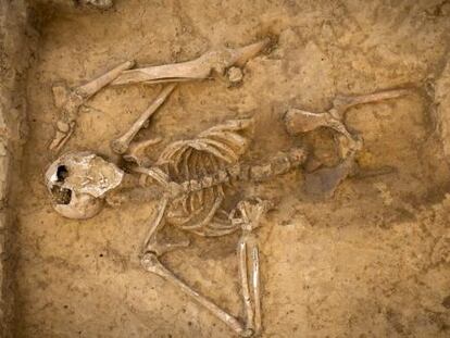 Uno de los dos esqueletos de la batalla de Waterloo hallados por los arqueólogos.
