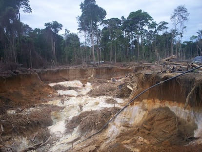 Así se encuentran algunas zonas en los bosques al sur de Venezuela 