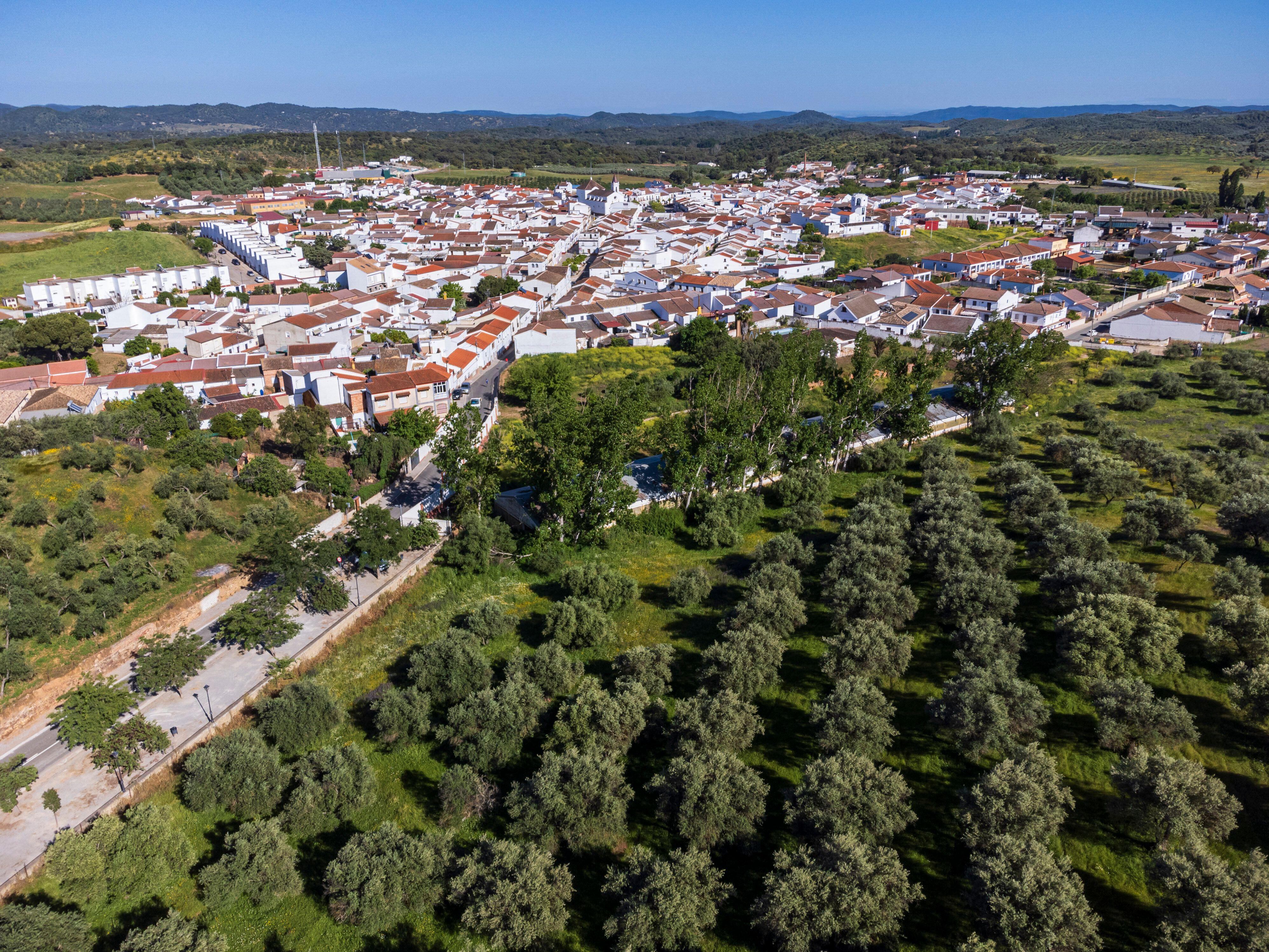 Las Navas de la Concepción, vista aérea y olivar, Sierra Norte de Sevilla, Andalucía. 