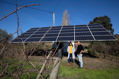Federico Schatz, vitivinicultor, y su pareja Raquel Elia, de la Asociacion Salvemos Campos y Montes, frente a una placa fotovoltaica.