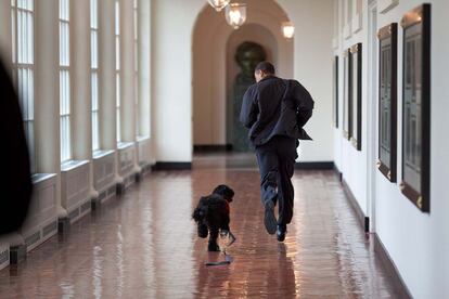Marzo de 2009. Corriendo por la Casa Blanca con Bo, mascota de la familia.
