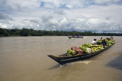 Un bote lleno de banano, otro de los productos que más se da en la zona, navega por el río Atrato, considerado uno de los más caudalosos del mundo. 
