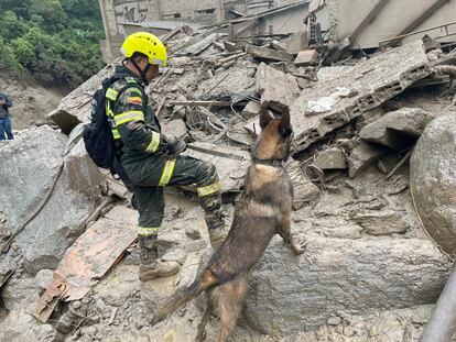 El coronel Jorge Díaz, director de la Defensa Civil de los llanos, le dijo a primera hora de la mañana a Noticias Caracol que tres de los fallecidos eran menores de edad: un niño de 6 años, otro de 10 y otro de 12. “Los bomberos, la Cruz Roja y unidades de socorro están tratando de encontrar los cuerpos sin vida”, detalló. En la imagen, un binomio canino busca víctimas entre el lodo y los escombros tras la avalancha de este martes. 