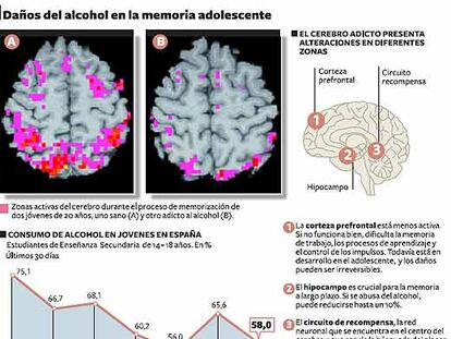 Daños del alcohol en la memoria adolescente