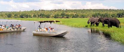 Botes de safari observan elefantes a lo largo del río Chobe cerca de la frontera norte de Botswana