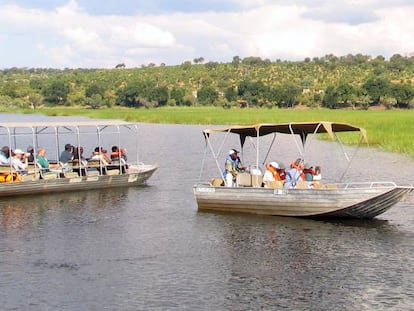 Botes de safari observan elefantes a lo largo del río Chobe cerca de la frontera norte de Botswana