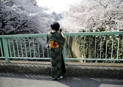 Una mujer vestida con kimono fotografía los cerezos en un parque de Tokio (Japón).