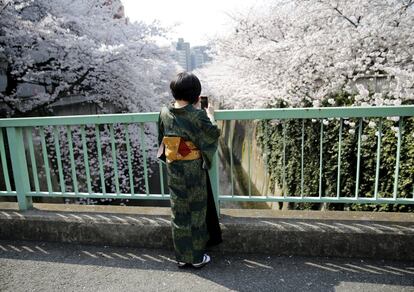 Una mujer vestida con kimono fotografía los cerezos en un parque de Tokio (Japón).