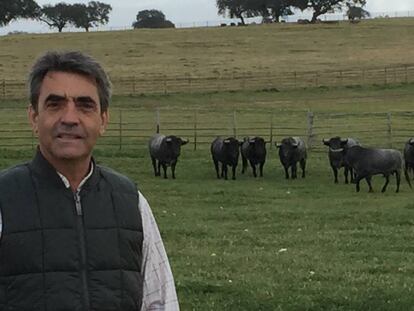 Victorino Martín, ganadero, en su finca cacereña.