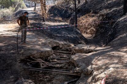 Juan Manuel García, en su finca tras el incendio.