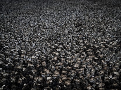 Las grietas en la tierra son visibles en un humedal seco en el parque natural de Doñana, en octubre de 2022.