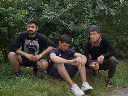 Los supervivientes del naufragio del 12 de agosto, desde la izquierda, Aref Amir (24), Hajjomid (21) y Sadaqat (17),  fotografiados en un bosque en Calais.
