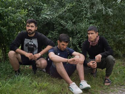 Los supervivientes del naufragio del 12 de agosto, desde la izquierda, Aref Amir (24), Hajjomid (21) y Sadaqat (17), fotografiados en un bosque en Calais.