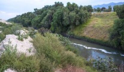 El Gran Canal, donde fueron arrojados los cadáveres